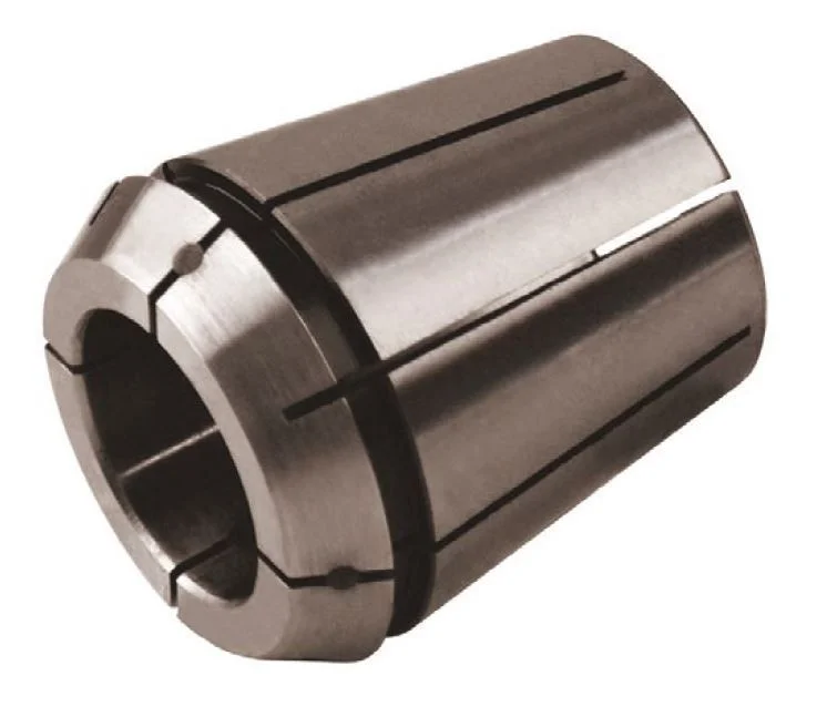 alicon1-2835442