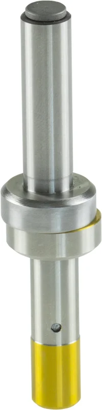 alicon1-2838877