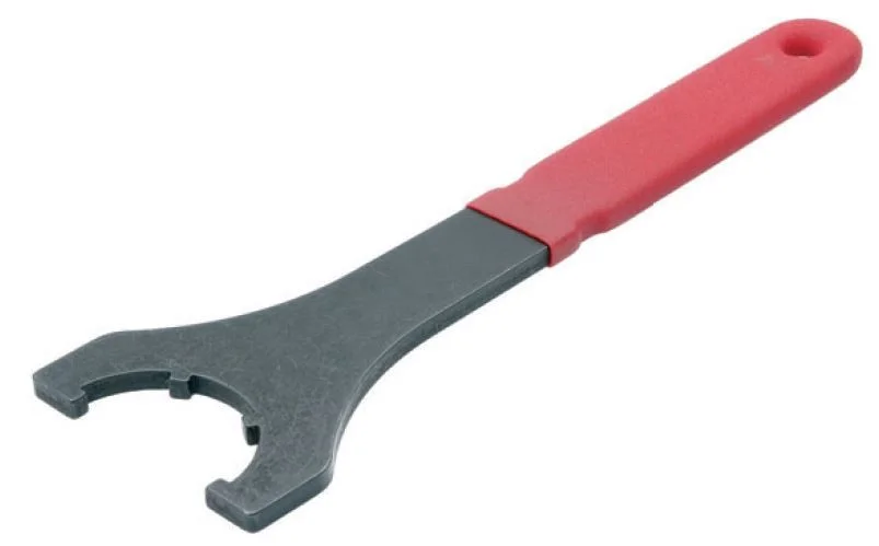 alicon1-2839565