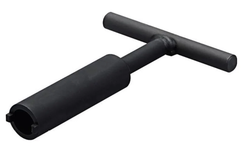 alicon1-2839718