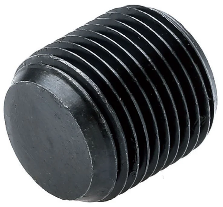 alicon1-2841239