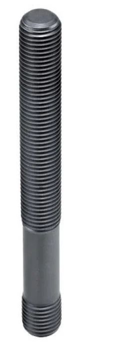 alicon1-2863428