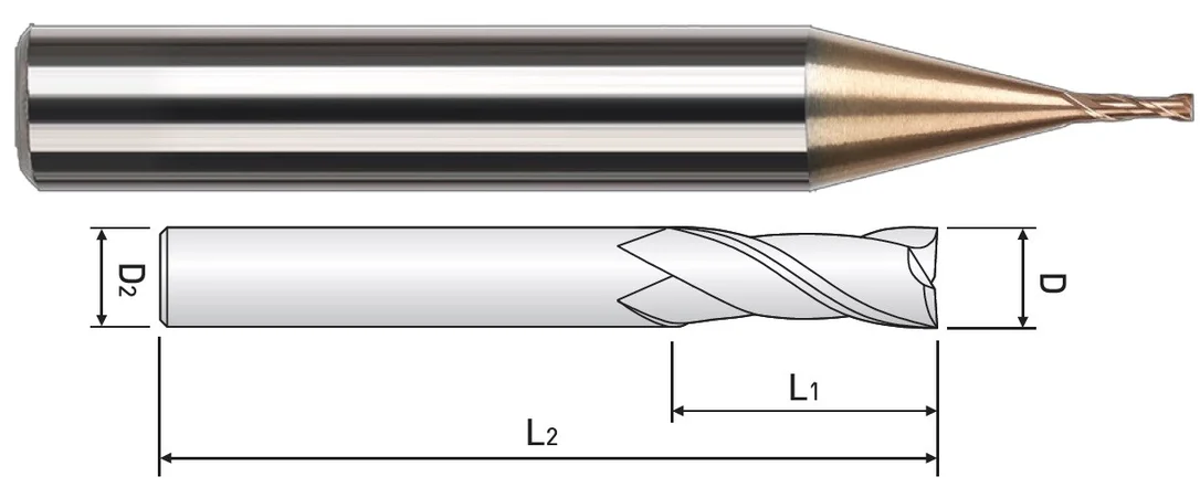 alicon1-3118124