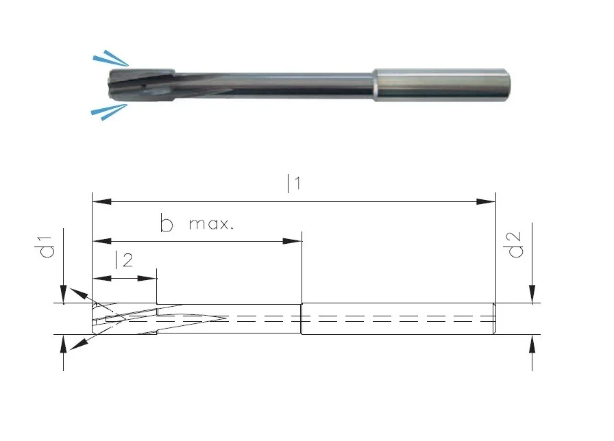 alicon1-3179882