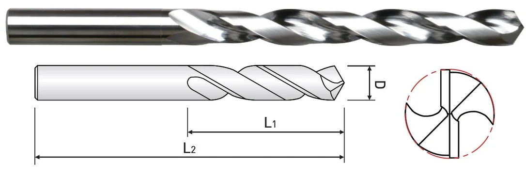 alicon1-3262365