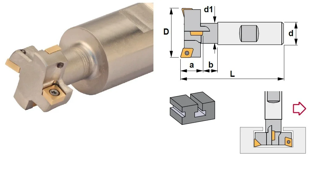 alicon2-2864537