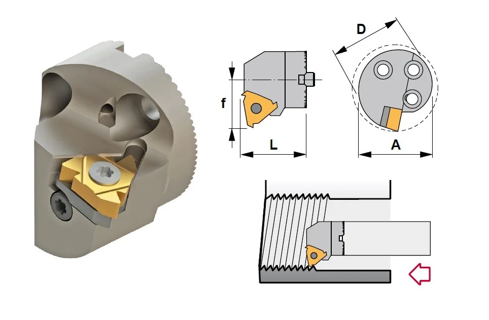 alicon2-2878601