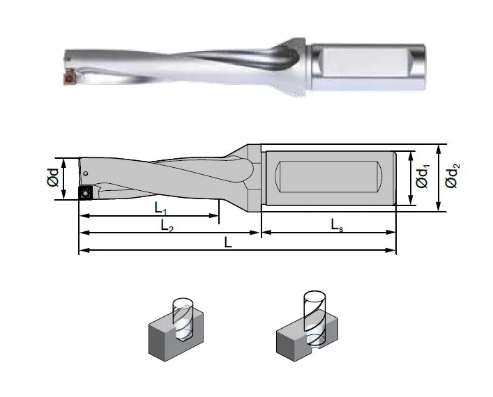 alicon2-3014739