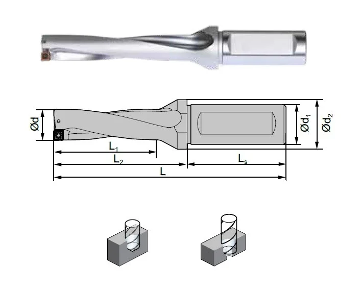 alicon2-3016625