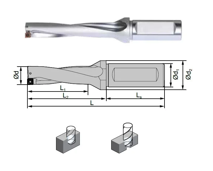 alicon2-3017584