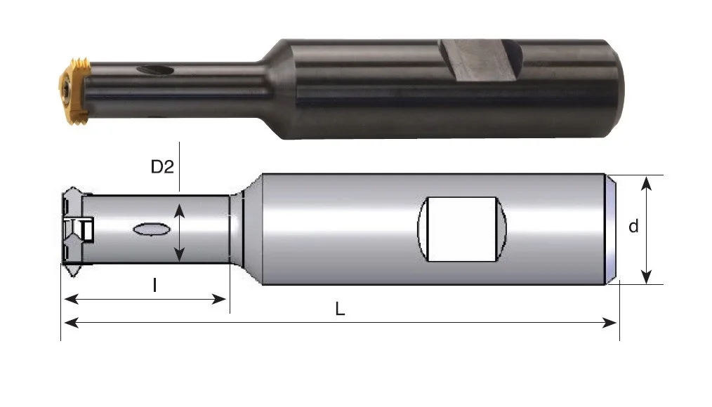 alicon2-3036321
