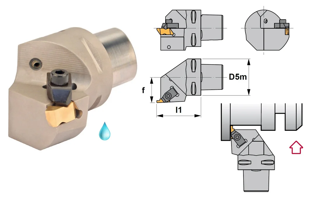 alicon2-3093429