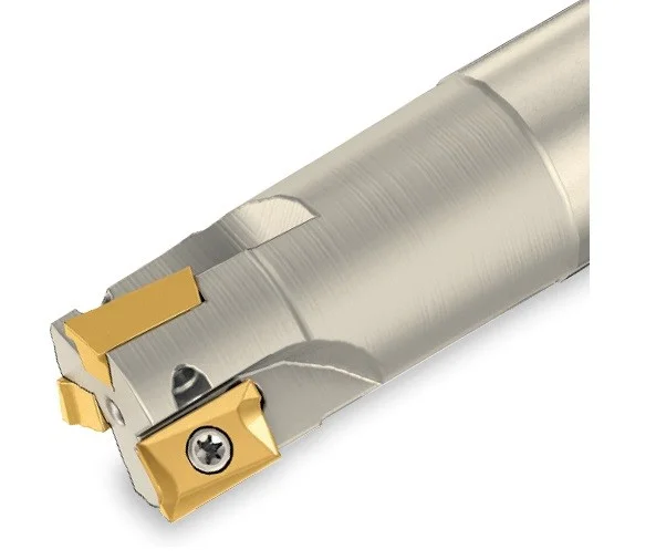 alicon4-3078044