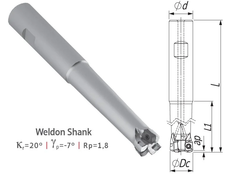 alicon4-3307662