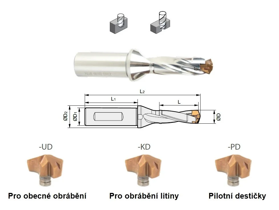 alicon5-3020855