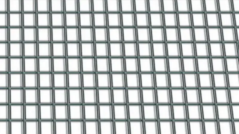 boukal1-3280276
