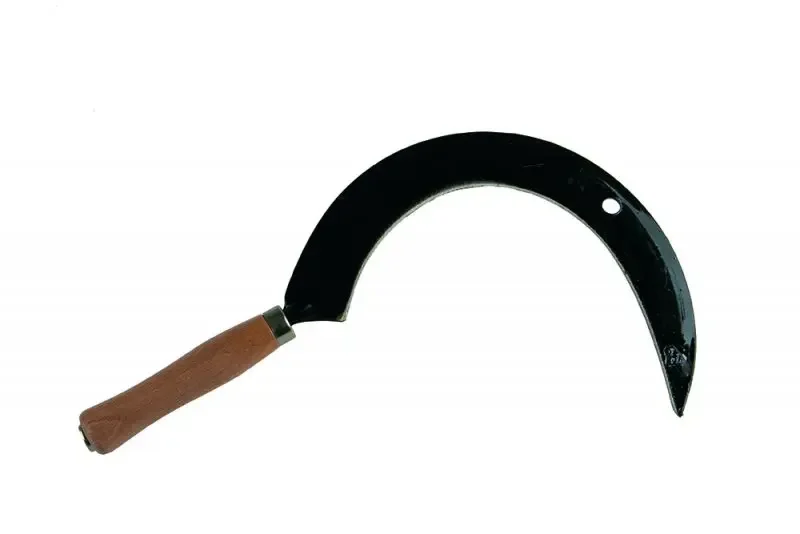 boukal1-3296380