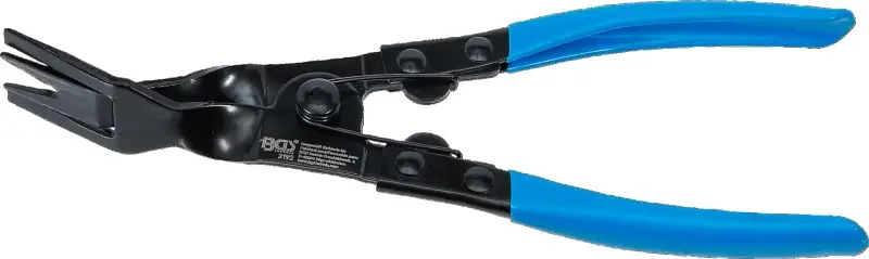 boukal1-3317722