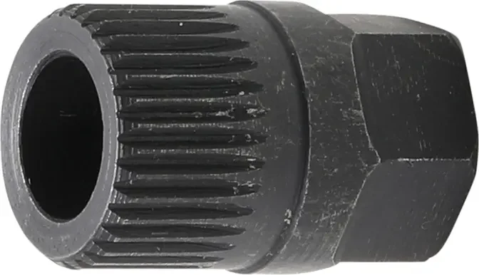boukal1-3326911