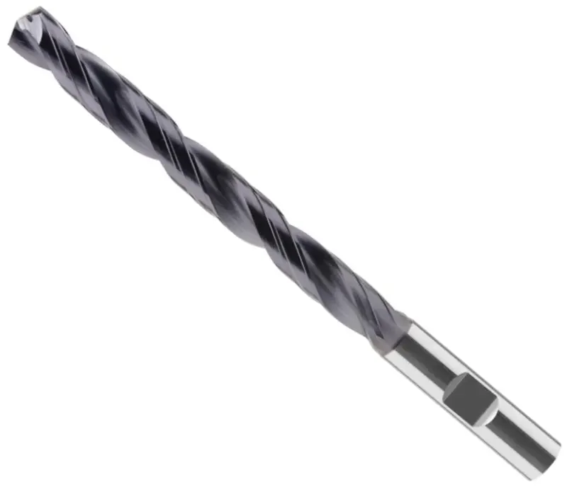 boukal1-3351809