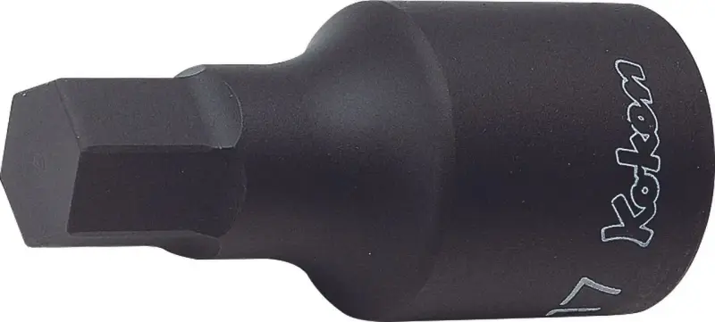 boukal2-3330771