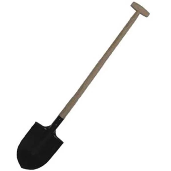 landsmann1-3164333
