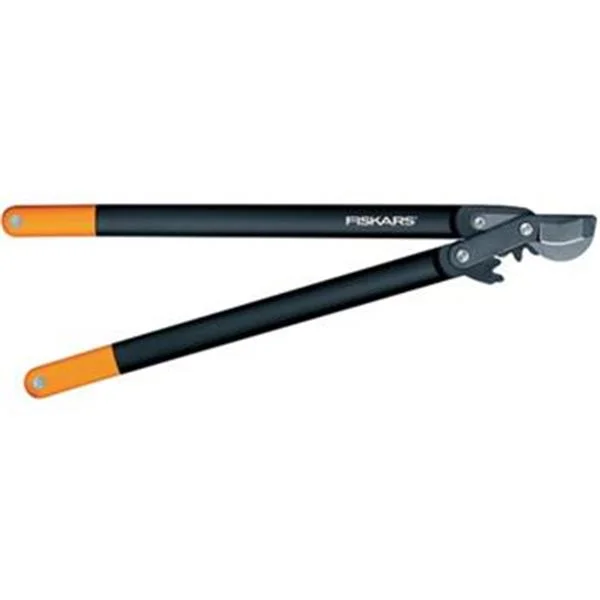 landsmann1-3314837