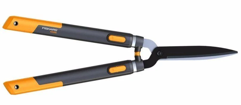 naradihornig-3030058