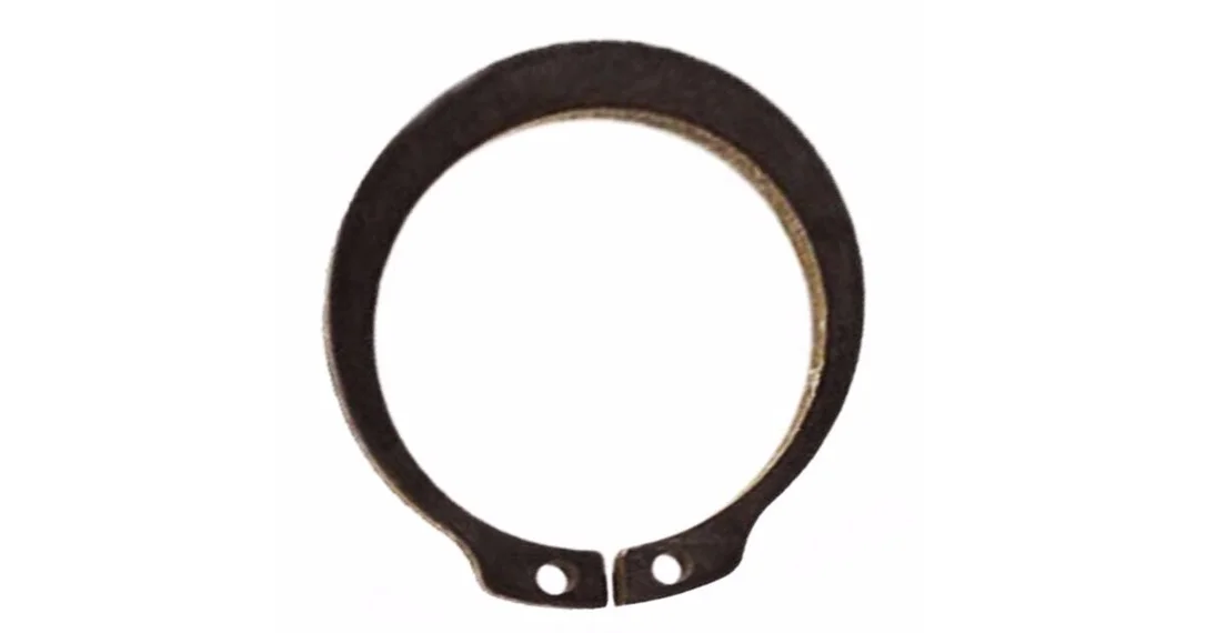 naradihornig-3147177
