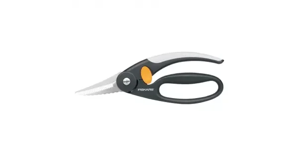 peddy-2913593