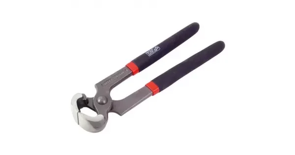 peddy-2952897