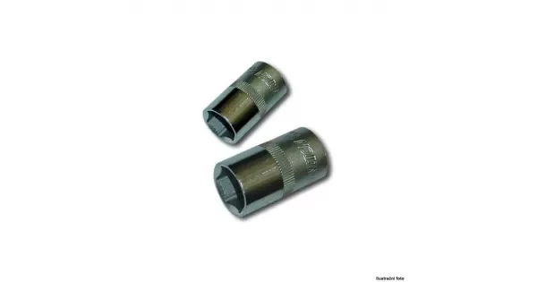 peddy-2960147
