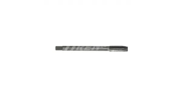 peddy-2960442
