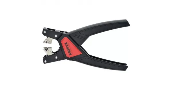 peddy-3009747