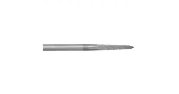 peddy-3016647