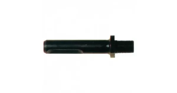 peddy-3023329