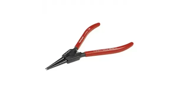 peddy-3029574