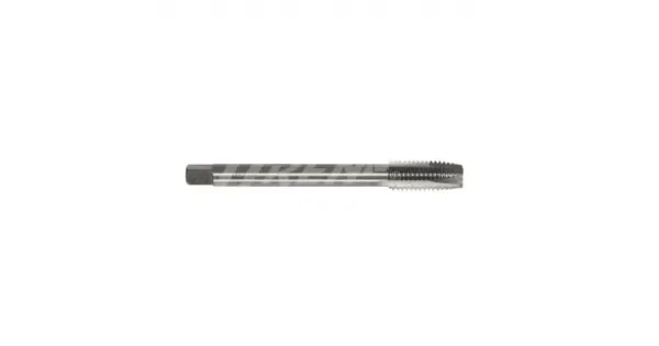 peddy-3030411