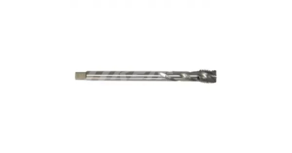 peddy-3035041
