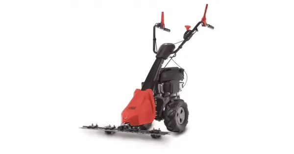 peddy-3056823